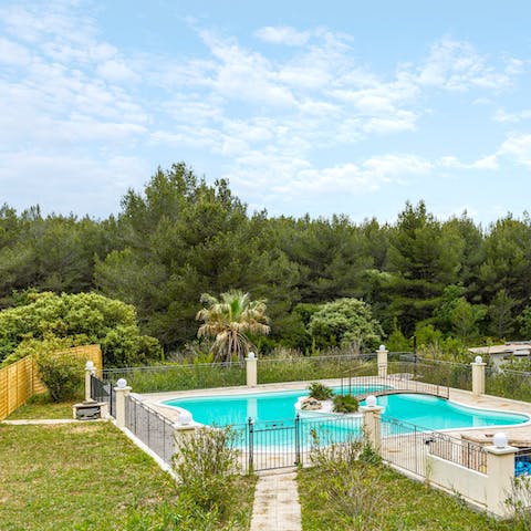Swim in the private pool amid the lush, green gardens