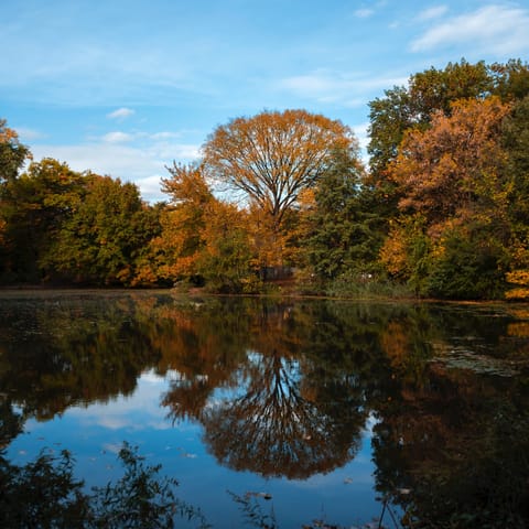 Watch the sun set at Prospect Park, just a seven–minute walk away