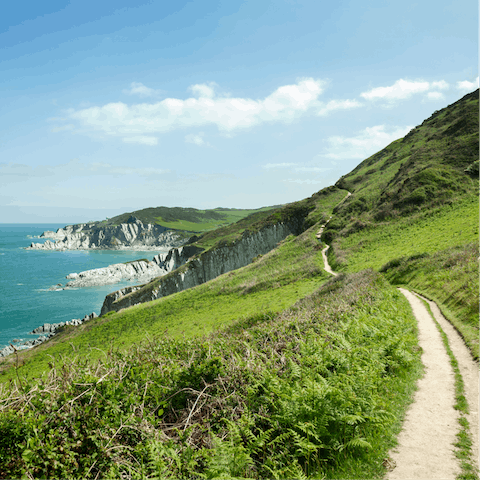 Stay half an hour's drive from Devon's spectacular coastline