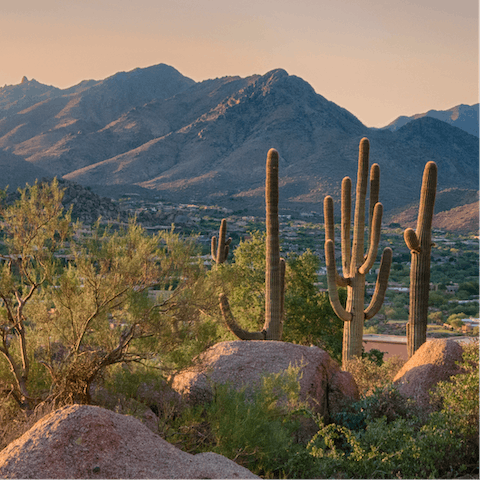 Explore Scottsdale's incredible natural surroundings and hiking trails