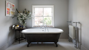 The Luxe image 2