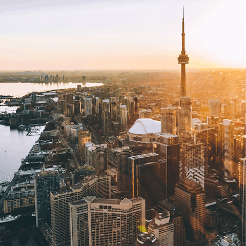 Explore the diverse landscape of Downtown Toronto