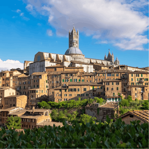 Spend a day exploring Siena, a forty-five-minute drive away