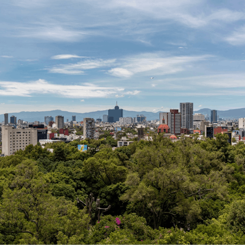 Explore the bustling neighbourhood of Polanco from your doorstep