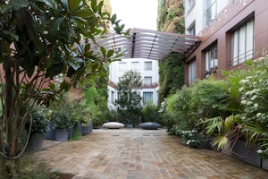 Parisian Pearl image 6