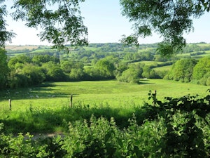 Meadow View image 7