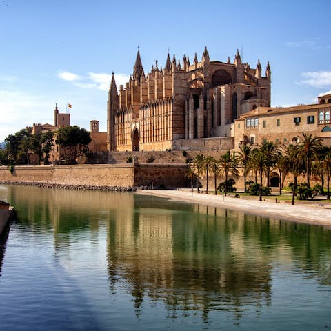 Make the ten-minute drive into the historic heart of Palma for a day trip