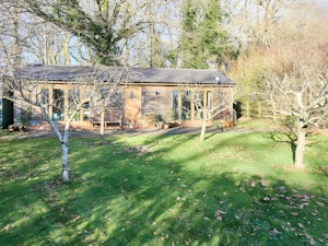 Green Orchard Oasis image 4