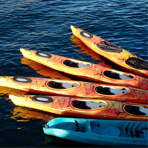 Take your pick from the different water sports available nearby