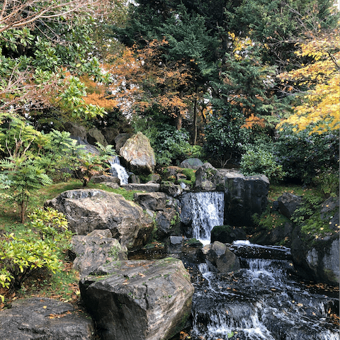 Take an afternoon stroll in Holland Park, a fifteen-minute walk from your door