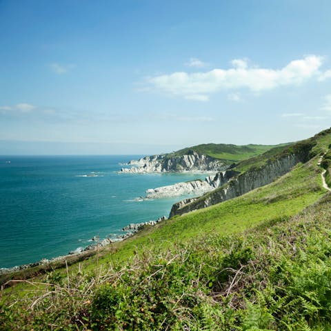 Stay in South Devon, an Area of Outstanding Natural Beauty