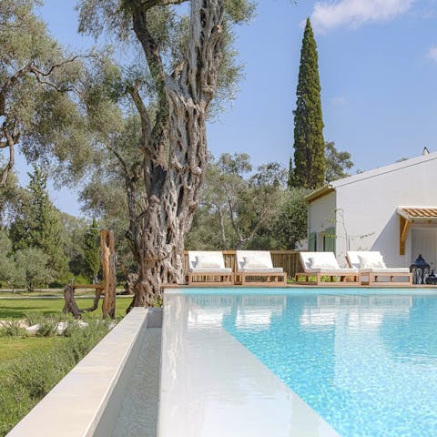 Start your day with a dip in the private pool surrounded by the lush green gardens