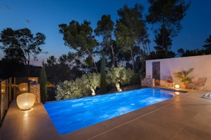 The Spritz image 7