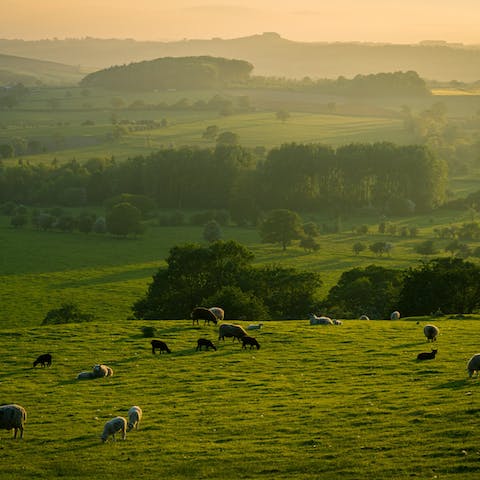 Explore the Kent Downs Area of Natural Beauty, right on your doorstep