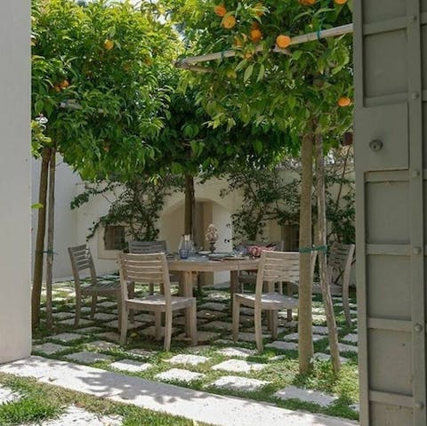 Enjoy drinks under the shade of the citrus trees in the courtyard