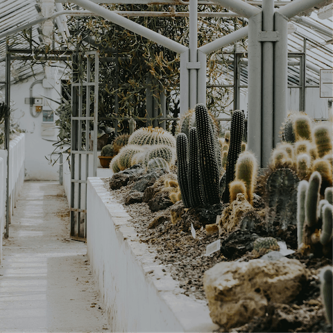 Visit the Orto Botanico di Roma, a six-minute walk away