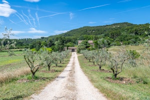 Luberon Mountain Retreat image 9