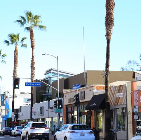 Browse the boutiques of Abbott Kinney Boulevard, just three minutes on foot from your home