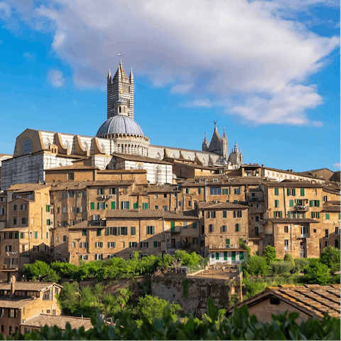 Spend the day exploring Siena – only a fifty–minute drive away. 