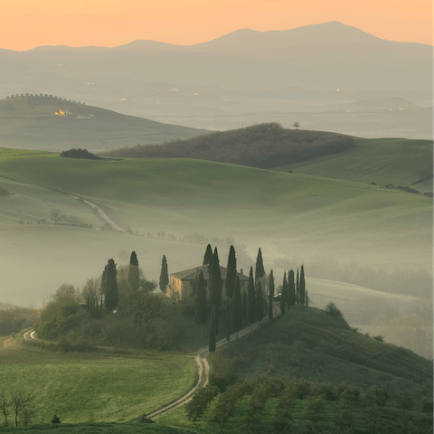 Wind your way through olive groves into the historic town of Montalcino