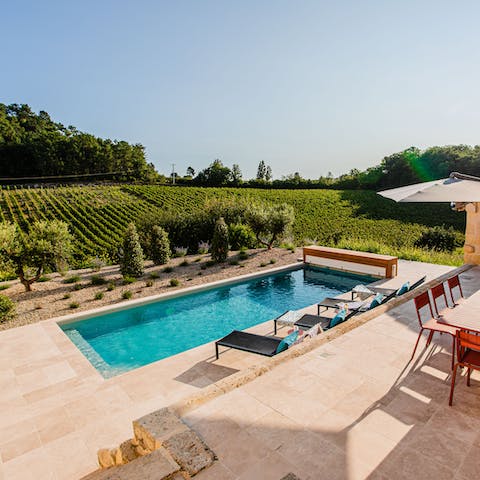Slip into the private swimming pool and admiring the rolling vineyards