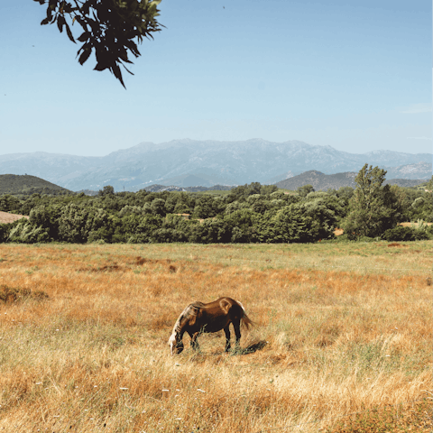 Discover the abundant beauty of the Occhiatana countryside