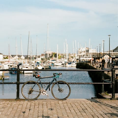 Take the dogs on a walk to Sutton Harbour, not far on foot