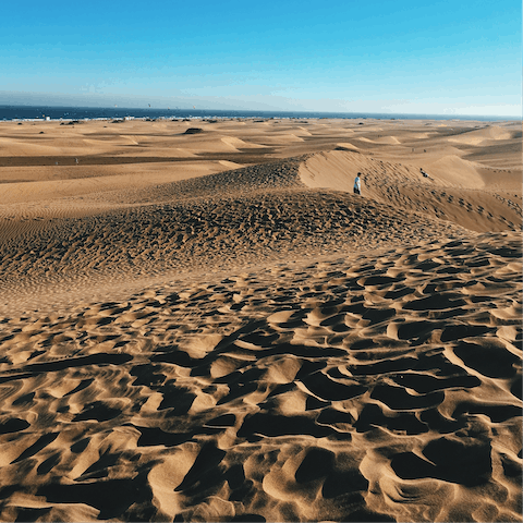 Explore the magnificent dunes of Maspalomas, under a fifteen-minute drive away 