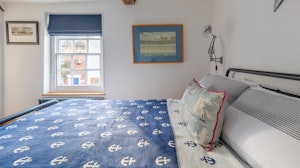 Pale Blue Gull image 12