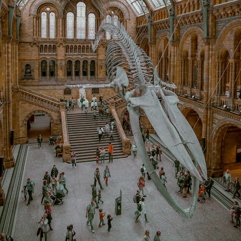 Travel seven stops on the District line and check out the Natural History Museum