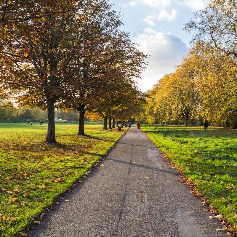 Visit Hyde Park, just over a five-minute stroll from this home