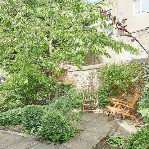 Read a book in the sunshine in the lush garden