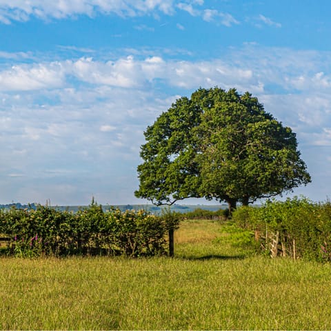 Explore the verdant Cornish countryside, right on your doorstep