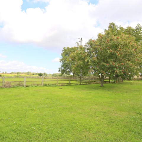 Tuck into tasty picnics by the tree in the garden