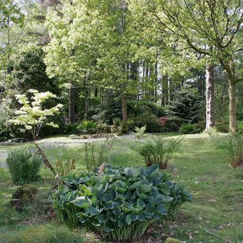 Let the kids explore the sprawling gardens surrounding the house