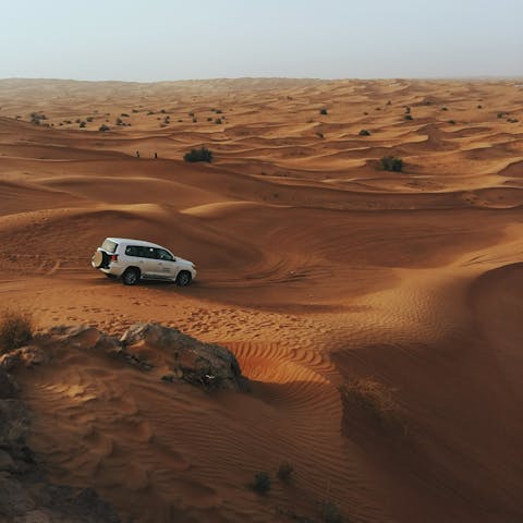 Journey into the desert on an exhilarating off-road adventure