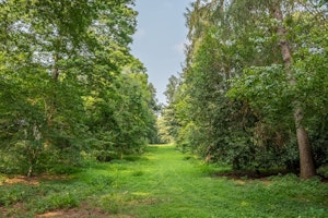The Constable Orchard image 13
