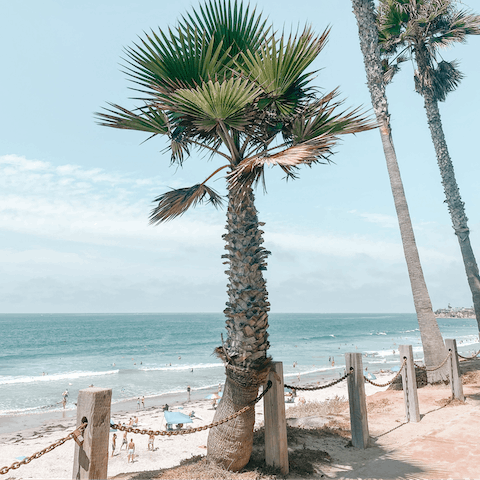 Spend the day on sandy Mission Beach, just a five-minute walk away