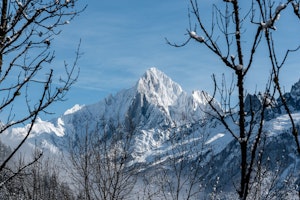 Prarion Pause image 5