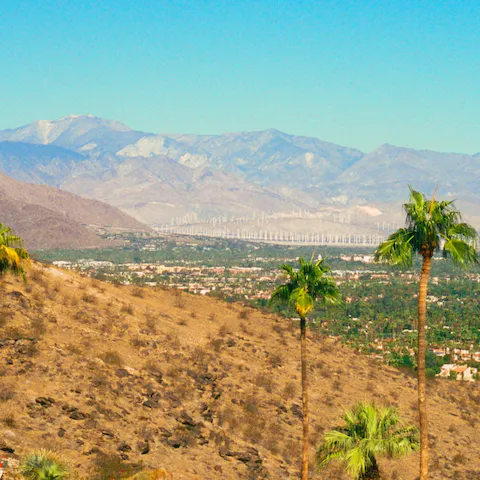 Treat yourself to an immersive desert experience in Palm Springs