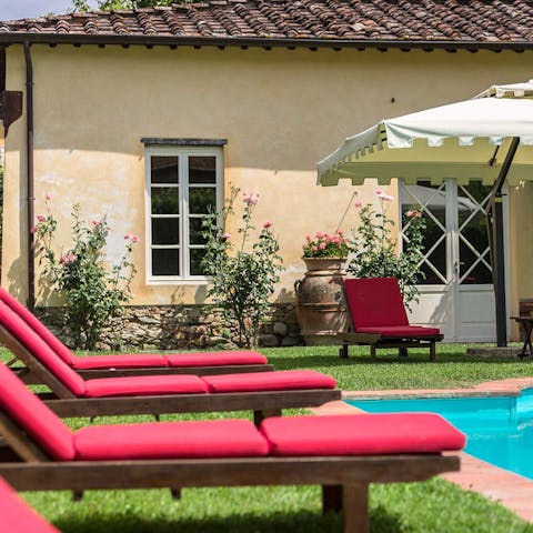 Work on your tan on these chaise lounges