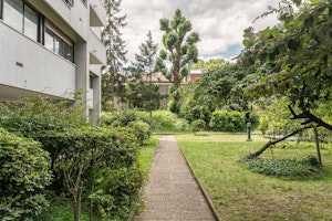 Silver Gleam image 4