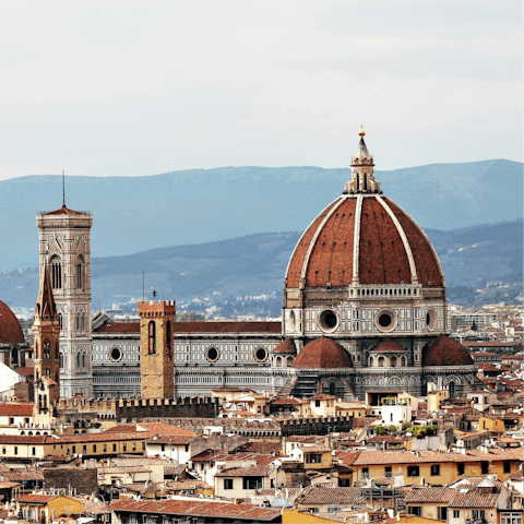 Explore iconic sights across the heart of Florence 