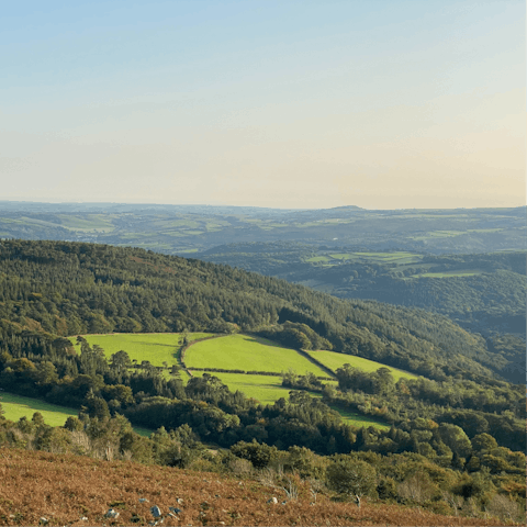Visit Dartmoor National Park, a forty-minute drive away