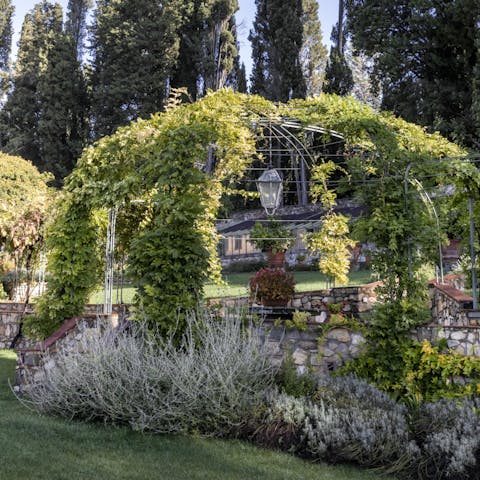 Seek out a sun-dappled spot beneath the vine-covered pergola