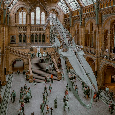 Take the short four-minute walk around the corner to the Natural History Museum