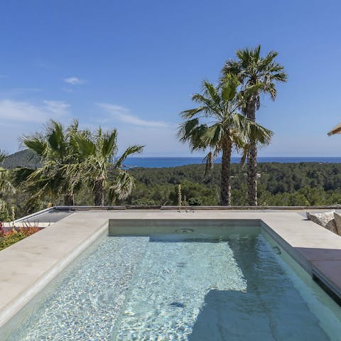 Chill out in the rooftop's plunge pool