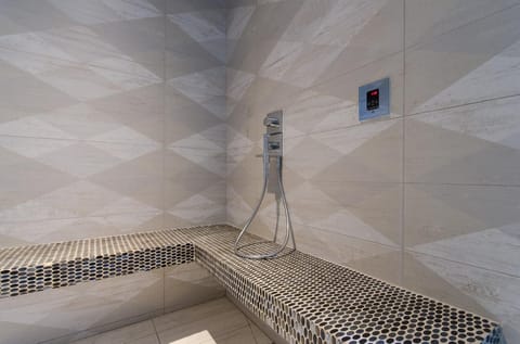 A luxuriously high-tech shower 
