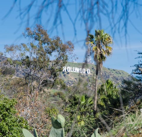 Your views of the iconic Hollywood sign