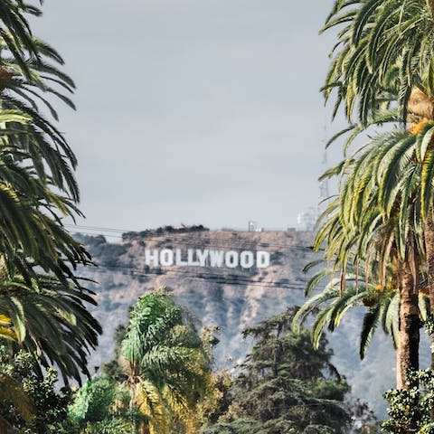 Experience the magic of LA from the Hollywood Hills